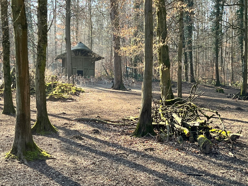 23-02-13 14-20-39 4218